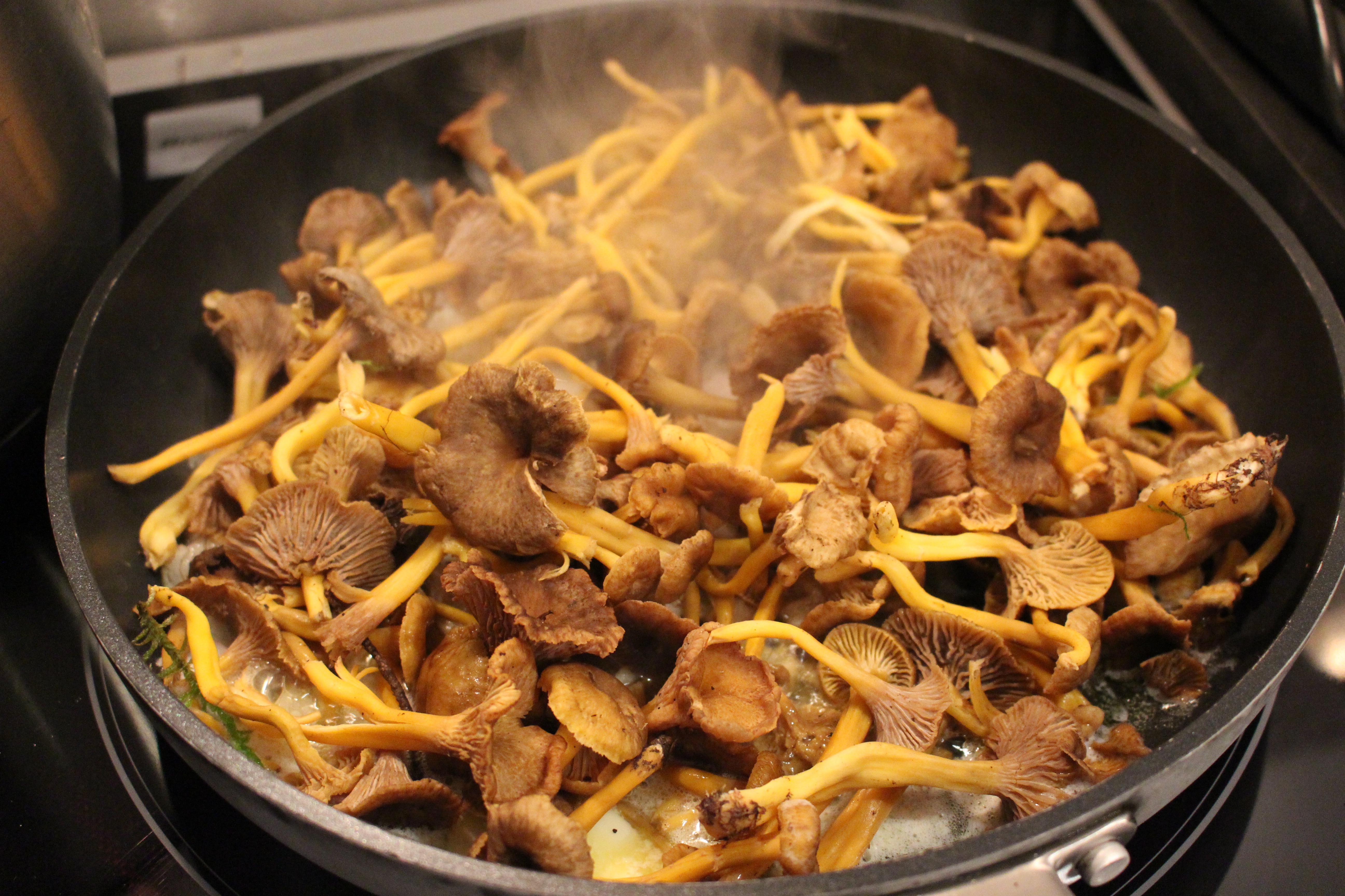 Chanterelle Mushrooms from the market