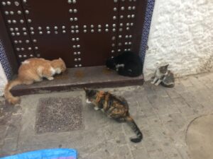 A doorstop with three cats crouching and eating